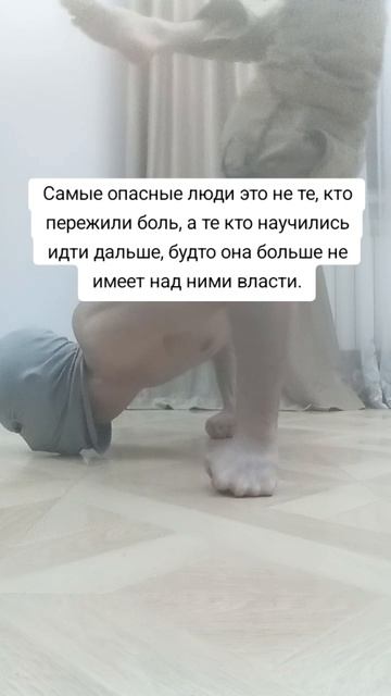 09-07-2026 смотреть онлайн