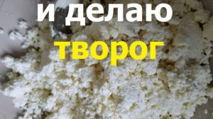20260709 Сушу кабачки укроп Сколько творога получается из кислого молока Как сделать домашний творог