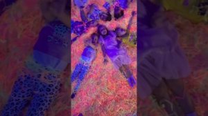 copy_0929EA7E-1B70-4DA0-B4DD-C88EE2E03C77