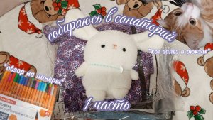 Собираюсь в санаторий🌲 1 часть ✨