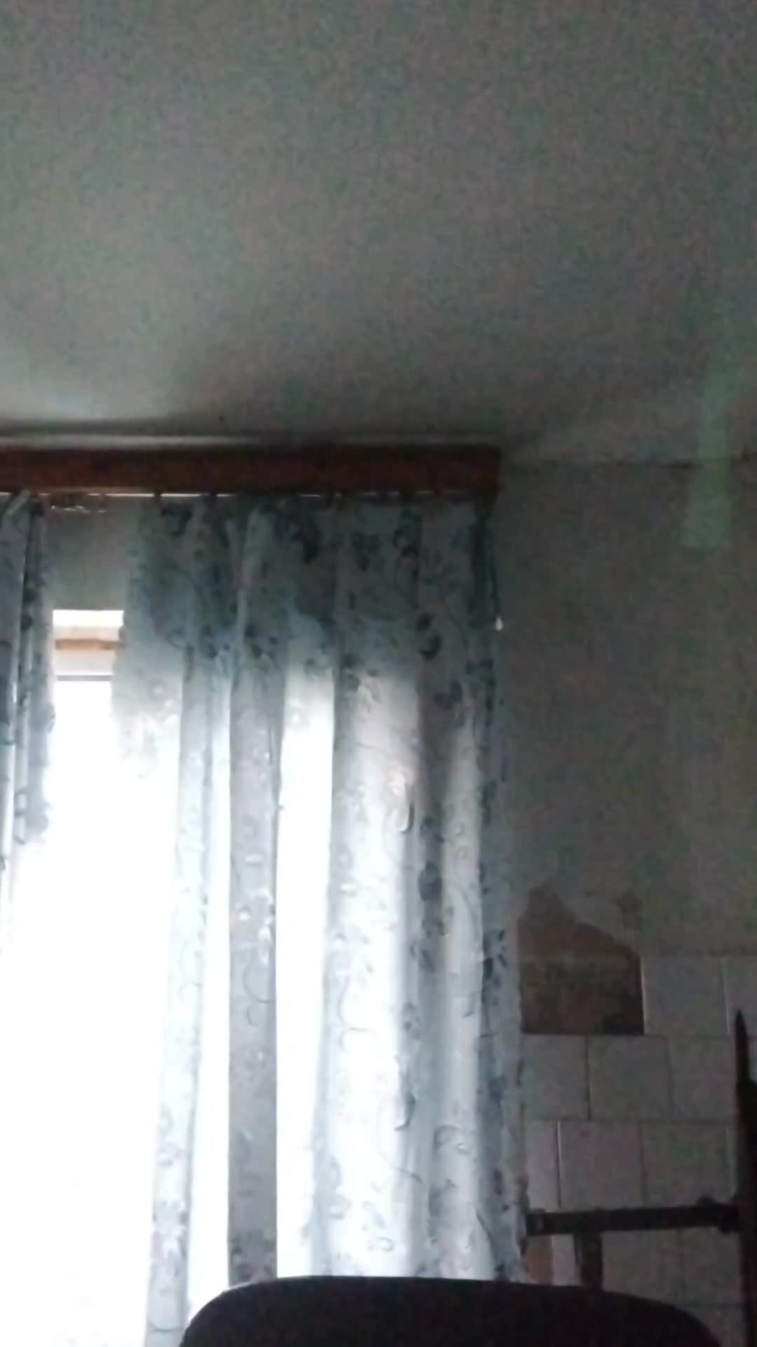пр смотреть онлайн