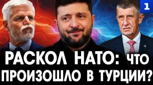 Раскол НАТО: что произошло в Турции?