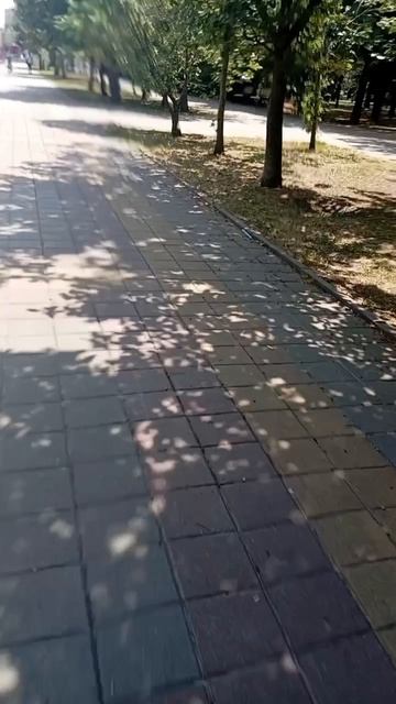 катание на великах смотреть онлайн