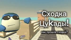 Моменты с моей сходки!