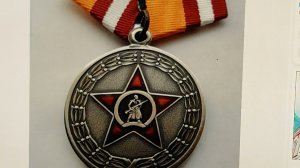Сколько выплат положено за медаль «Участнику специальной военной операции»