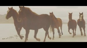 Nini Music - LongMa (Taiwanese Folk Metal)