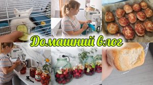 ЗАГОТОВКИ НА ЗИМУ ПРОДОЛЖАЮТСЯ🍎 ГОТОВЛЮ ОБЕД🍽️ ВЕЧЕРОМ ТАК ХОРОШО НА УЛИЦЕ 🌙