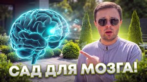 ДОФАМИНОВЫЙ САД: Тренды ландшафтного дизайна 2026, которые избавят вас от стресса