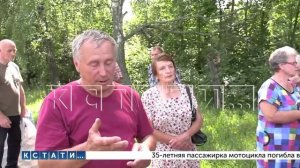 Пчёлы на пасеках Шатковского района погибли от массового отравления