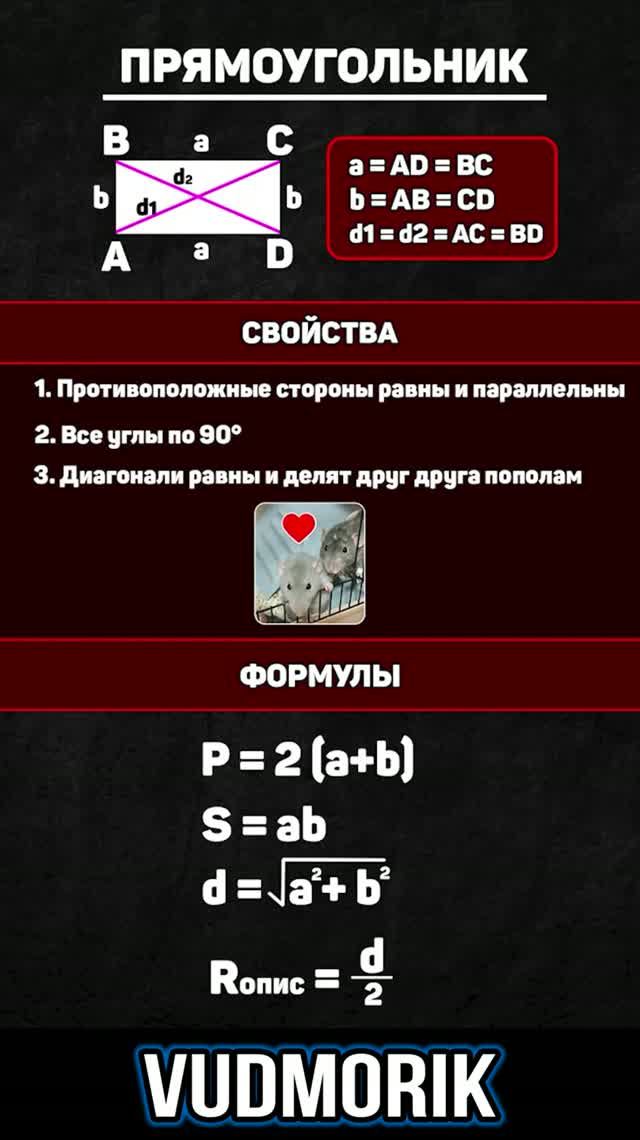 Прямоугольник. Формулы и свойства #20