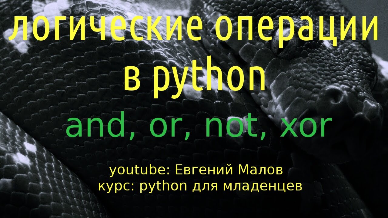 Логические операции в python смотреть онлайн