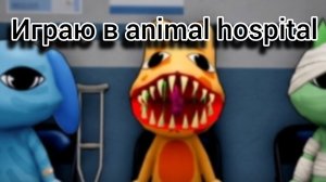 играю в animal hospital