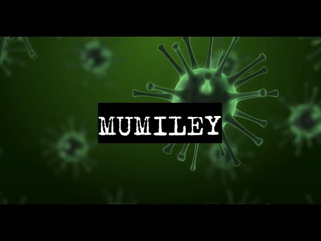 МУМИЛЕЙ 01. Телефон. смотреть онлайн