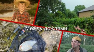 И между дождями проскочил, и рыбу поймал!