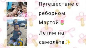 Путешествие с реборном Мартой🌷/Летим на самолёте✨/Реакция стюардессы
