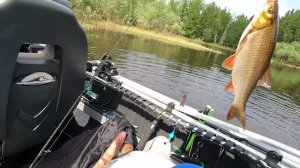 Озеро Пякуто, река Пякутинка и Пякупур 21.06.26