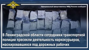 В Ленобласти полицейские пресекли деятельность наркокурьеров, маскировавшихся под дорожных рабочих