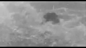 1000026700.mp4Арбузная рапсодия 🍉🤩