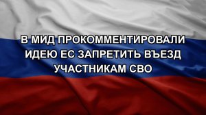 В МИД прокомментировали идею ЕС запретить въезд участникам СВО