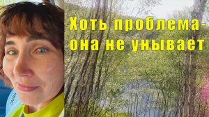 У ЛЕНОЧКИ СНОВА ПРОБЛЕМА /ЧУДЕСНОЕ МЕСТО ДЛЯ ПРАЗДНИКА /02 и 03  июля 2026
