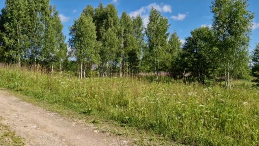 ВЫКУРИЛИ ОС, СЪЕЗДИЛИ В ГОРОД И ЗАЕХАЛИ НА ПРУД.