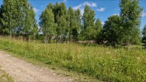 ВЫКУРИЛИ ОС, СЪЕЗДИЛИ В ГОРОД И ЗАЕХАЛИ НА ПРУД.