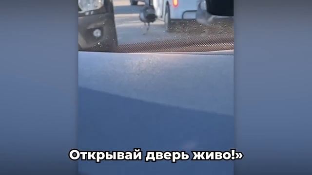 ЗАБАВНЫЕ И СМЕШНЫЕ СЛУЧАИ С ПОЛИЦЕЙСКИМИ!¡! 😼🫶😎