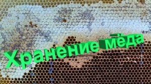 Хранение мёда: меняется ли состав и почему оптовики не берут прошлогодний? Отвечает Кашковский 🍯📦