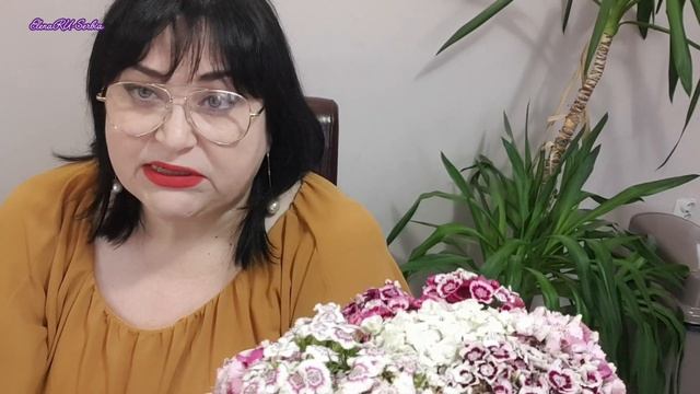 Почему СЕРБЫ никуда НЕ СПЕШАТ? Честный взгляд изнутри после 14 лет жизни в стране смотреть онлайн