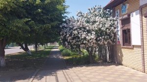 Городские пейзажи. Прогулка 09-07-2026