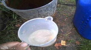 ПОДКОРМКА ДЛЯ КАБАЧКОВ НА ИСТОЩЁННОЙ ЗЕМЛЕ