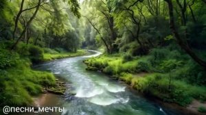 Нежная флейта и фортепиано + красивейшие реки мира — идеальная музыка для хорошего сна 🌊🎶