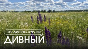 Онлайн-экскурсия по посёлку «Дивный»