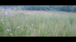 Отпуск кончается. Часть третья и немного ностальджи