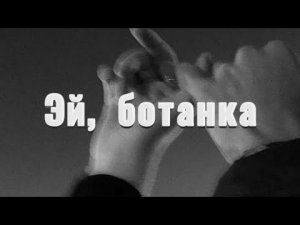 Эй, ботанка! Романтика. || Аудиокнига