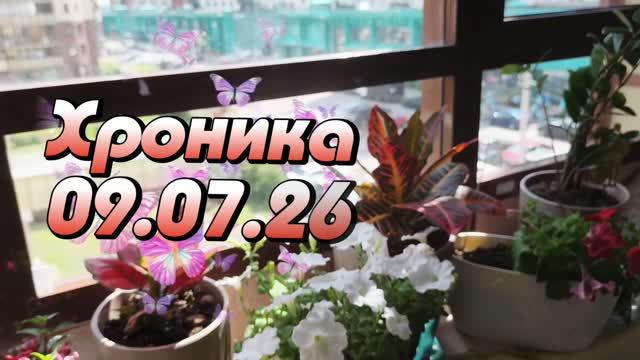 09.07.26☘️Хроника из оранжереи ☘️