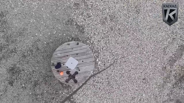 Оружие самообороны