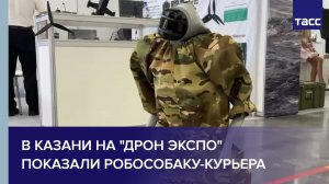 В Казани на «Дрон экспо» показали робособаку-курьера