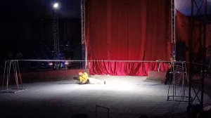🎪Красочное представление цирка шапито «Арктион» в Новосибирске