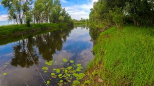 ПОИСК ХИЩНИКА в +30. ТУПИКОВАЯ ПРОТОКА Оби,