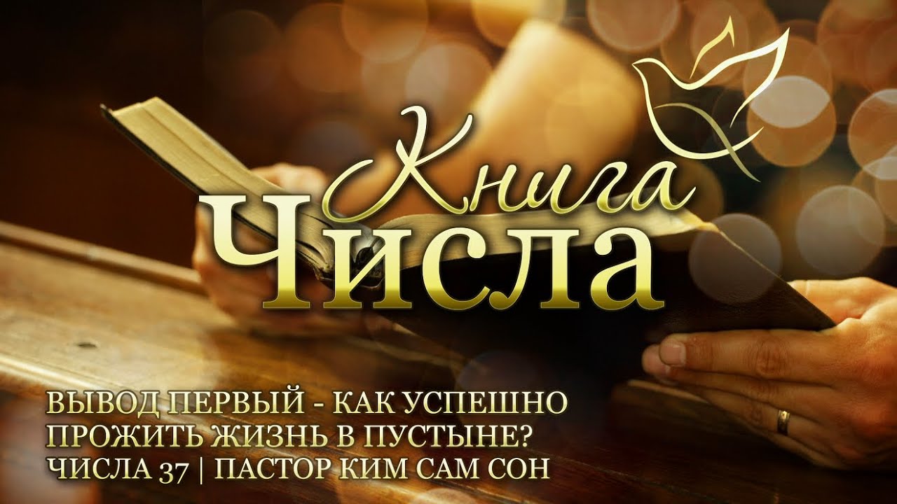 23.08.2022 | Числа 37 | Вывод первый – Как успешно прожить жизнь в пустыне? смотреть онлайн