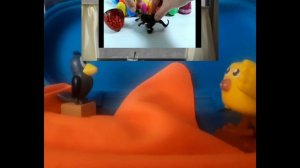 1000040231.mp4