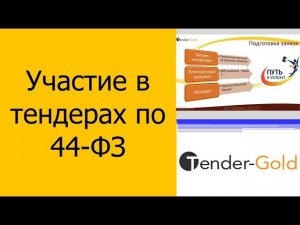 Участие в тендерах 44 ФЗ  - как выигрывать и зарабатывать деньги