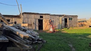 Поехали к родителям! Вечерняя дойка, огород, бесбармак и жизнь в деревне без прикрас!