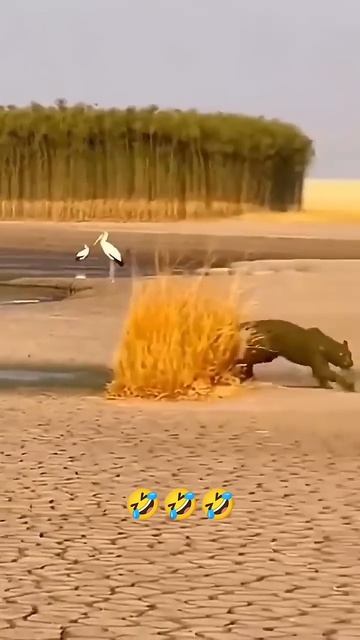 Суперзащита.mp4 смотреть онлайн