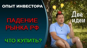 2 идеи на падающем рынке РФ. Что купить?