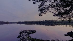 ВПЕВАТЛЯЮЩИЕ ЦВЕТА В 4К КАЧЕСТВЕ