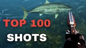 Топ 100 попаданий на подводной охоте.