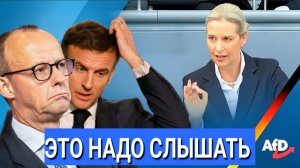 Невероятно! Алиса Вайдель Разнесла в Пух и Прах. Европа Замерла, Начались Изменения. Шок и Трепет