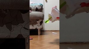 они все исчезли (фильм)